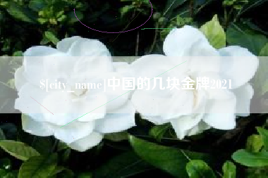 临邑中国的几块金牌2021