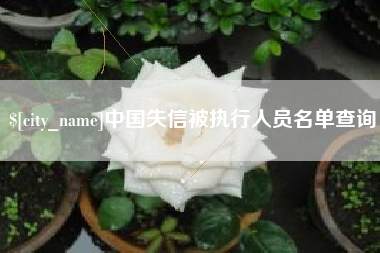 临邑中国失信被执行人员名单查询