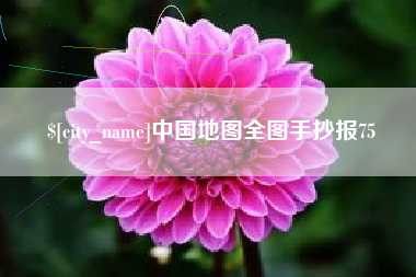 临邑中国地图全图手抄报75