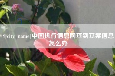 临邑中国执行信息网查到立案信息怎么办