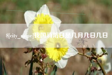 临邑我国消防日是几月几日几日