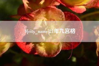 临邑21年九宫格