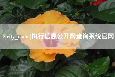 临邑执行信息公开网查询系统官网