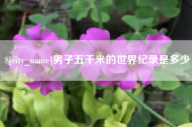 临邑男子五千米的世界纪录是多少