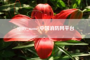 临邑中国消防网平台