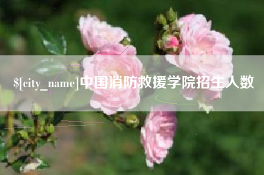临邑中国消防救援学院招生人数