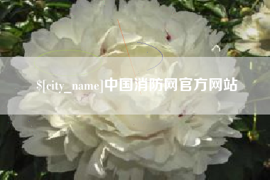 临邑中国消防网官方网站