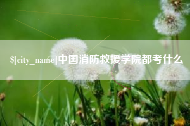 临邑中国消防救援学院都考什么