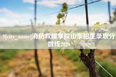 临邑消防救援学院山东招生录取分数线2020