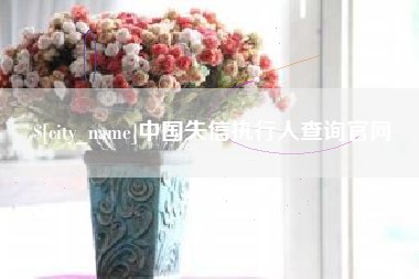 临邑中国失信执行人查询官网