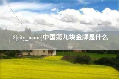 临邑中国第九块金牌是什么