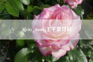 临邑王子豪百科