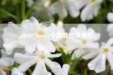 临邑中国地图像素版