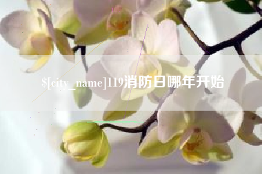 临邑119消防日哪年开始