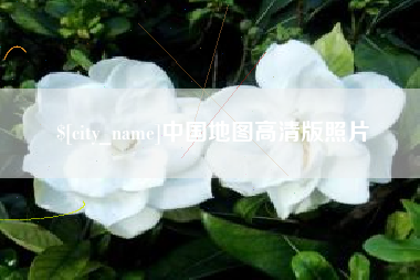 临邑中国地图高清版照片
