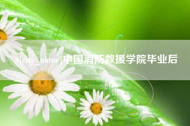 临邑中国消防救援学院毕业后