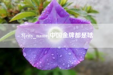 临邑中国金牌都是啥