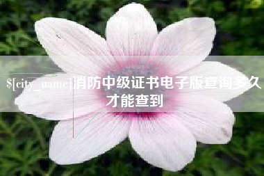临邑消防中级证书电子版查询多久才能查到