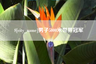 临邑男子5000米世界冠军