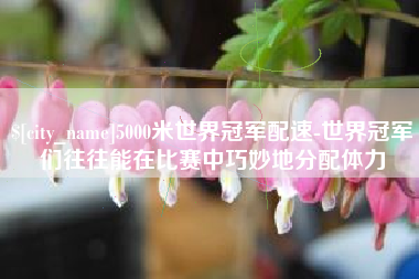 临邑5000米世界冠军配速-世界冠军们往往能在比赛中巧妙地分配体力