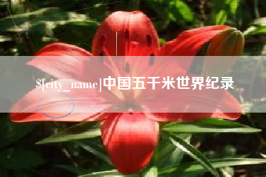 临邑中国五千米世界纪录