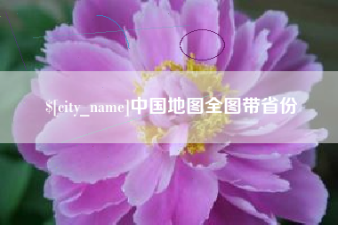 临邑中国地图全图带省份