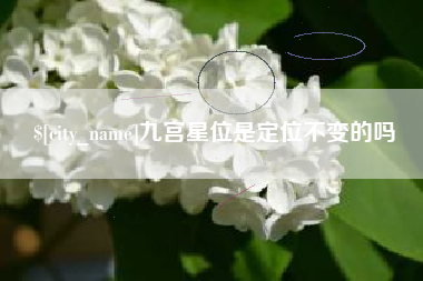 临邑九宫星位是定位不变的吗
