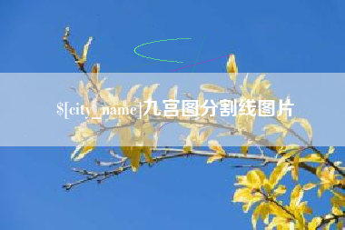 临邑九宫图分割线图片