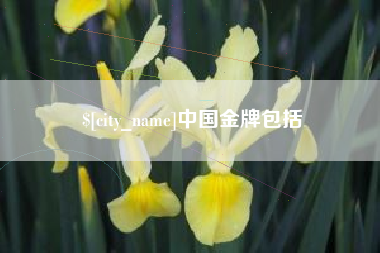 临邑中国金牌包括