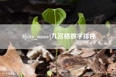 临邑九宫格数字排序