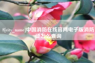临邑中国消防在线官网电子版消防证怎么查询