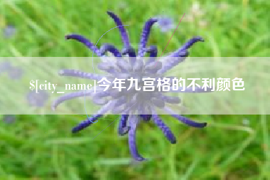 临邑今年九宫格的不利颜色
