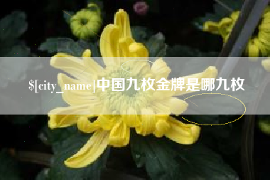 临邑中国九枚金牌是哪九枚
