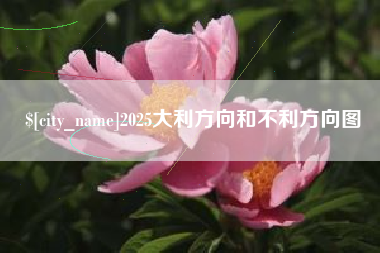 临邑2025大利方向和不利方向图