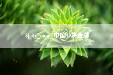 临邑中国19块金牌