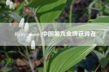 临邑中国第九金牌获得者