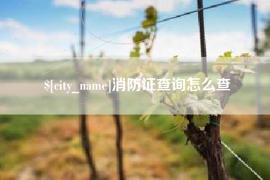 临邑消防证查询怎么查