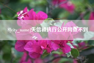 临邑失信被执行公开网查不到