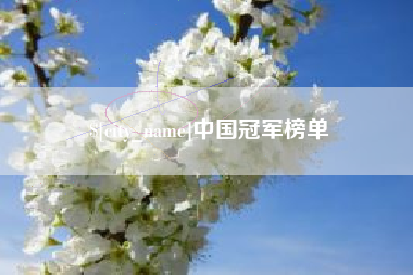 临邑中国冠军榜单