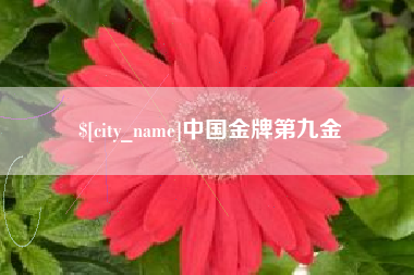 临邑中国金牌第九金