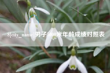 临邑男子5000米年龄成绩对照表