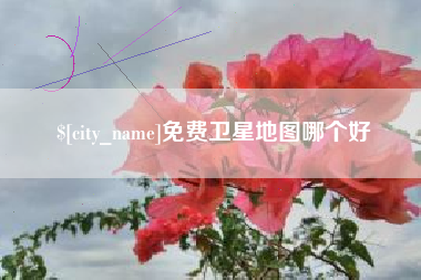 临邑免费卫星地图哪个好