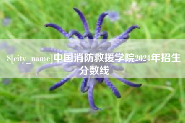 临邑中国消防救援学院2024年招生分数线