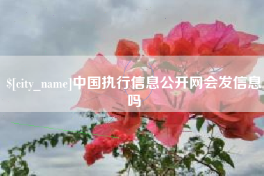 临邑中国执行信息公开网会发信息吗
