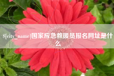 临邑国家应急救援员报名网址是什么