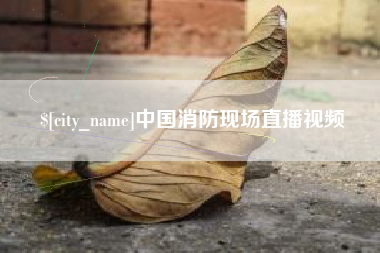 临邑中国消防现场直播视频
