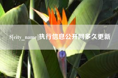 临邑执行信息公开网多久更新