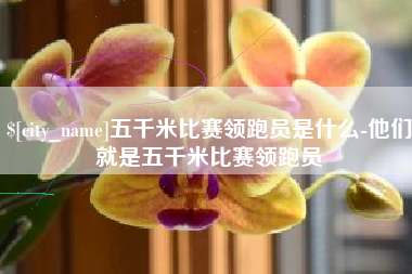 临邑五千米比赛领跑员是什么-他们就是五千米比赛领跑员