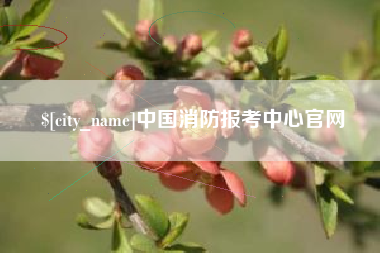 临邑中国消防报考中心官网