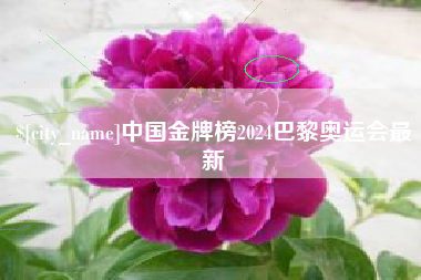 临邑中国金牌榜2024巴黎奥运会最新